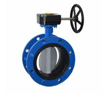 Double Flange Concentric Butterfly Valve with Worm Gear Operated 