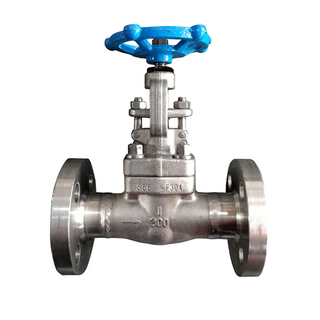 Forged Steel Flange Globe Valve