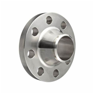 API/ASME/JIS/EN/GOST Stainless Steel Weld Neck Flanges
