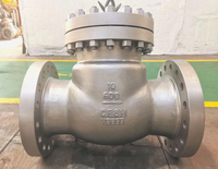Swing Disc Type Stainless Steel Flange Check Valve