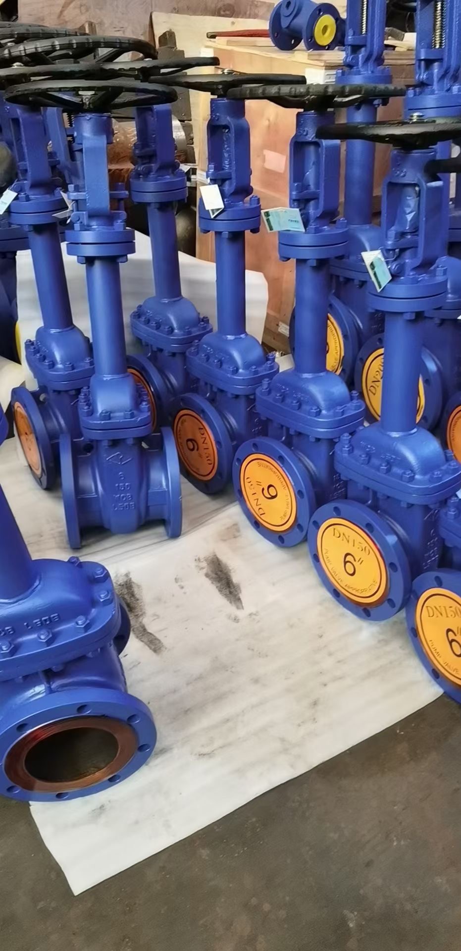 din flange globe valve