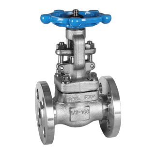 API602 Bonnet Bolted Forged Steel Flange Gate Valve