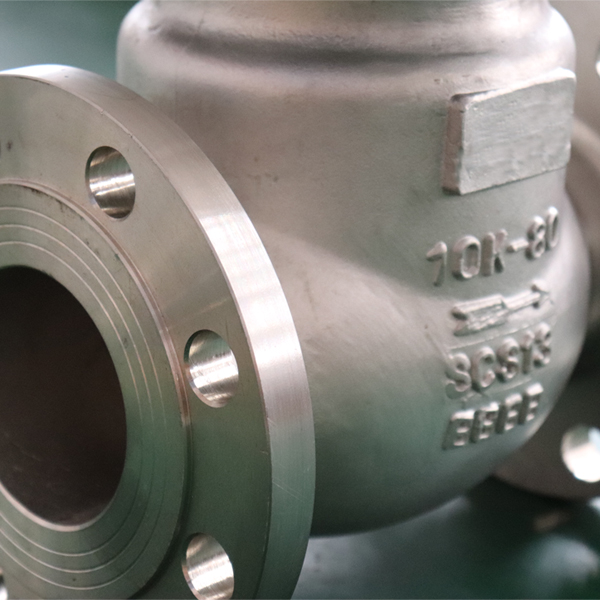 JIS10K Stainless Steel Flanged Swing Check Valve
