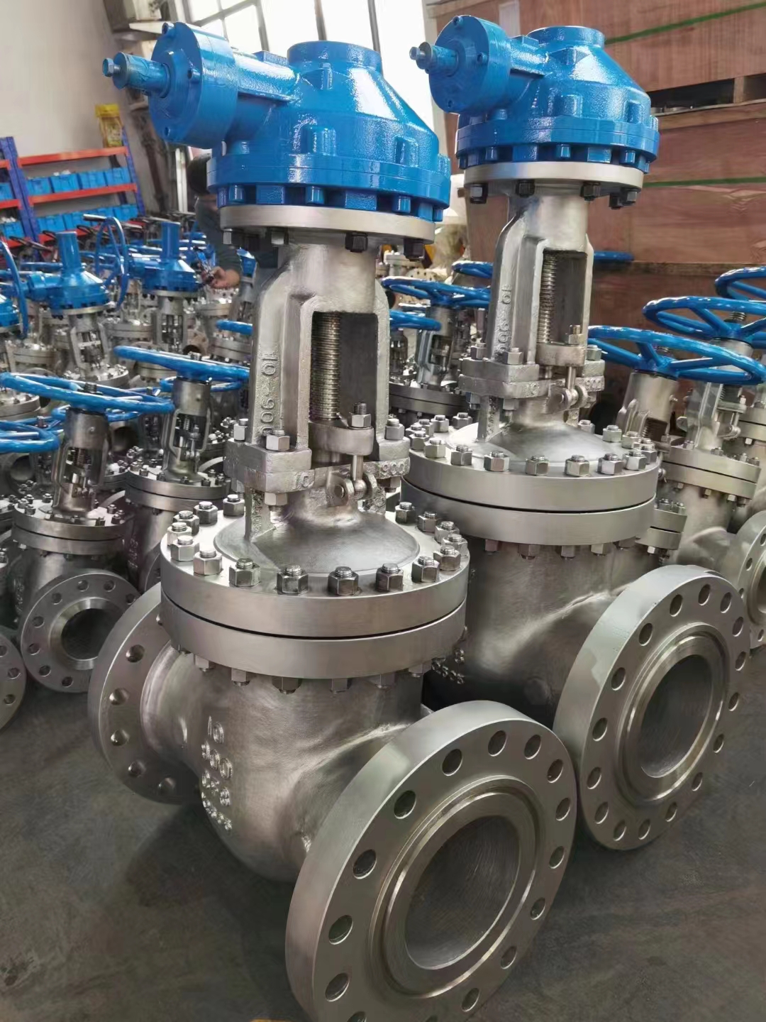 Stainless Steel CF8 CF8M ASME B16.5 Flange Ends Gate Valve