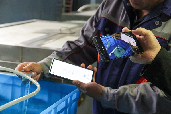 ball-valve-pressure-test-iso-5208-rate-a-rate-b.jpg ball-valve-pressure-test-iso-5208-rate-a-rate-b.jpg