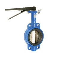Cast Steel EPDM Lined Wafer Lug Type Concentric Butterfly Valve 