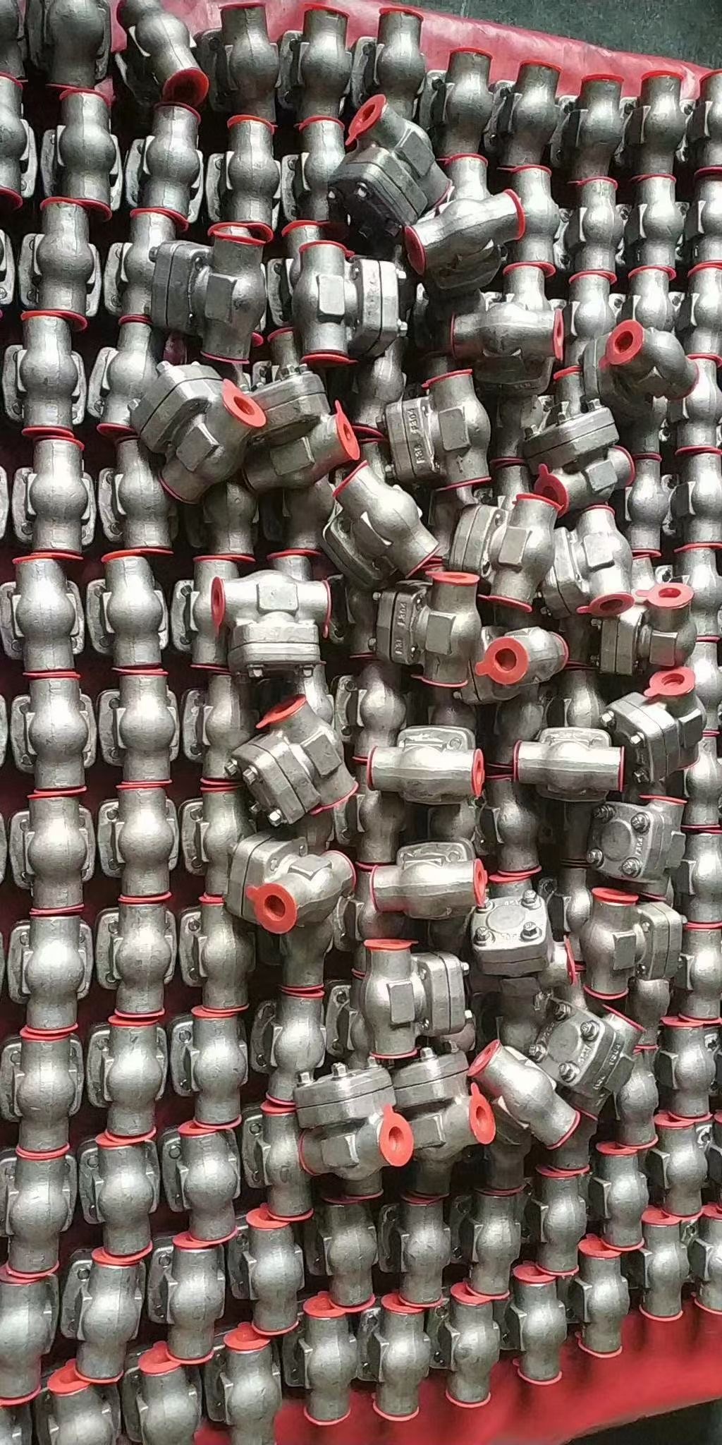 stainless steel F304 check valve