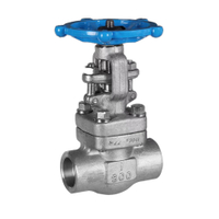 Forged Steel 800LB SW BW NPT Rising Stem Gate Valve
