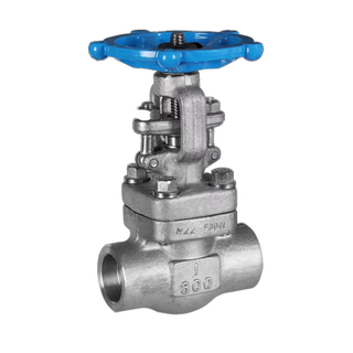 Forged Steel 800LB SW BW NPT Rising Stem Gate Valve
