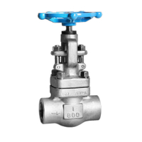 Forged Stainless Steel Threaded/Welding Globe Valve(150LB~2500LB)