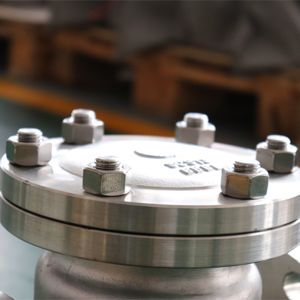 JIS10K Stainless Steel Flanged Swing Check Valve