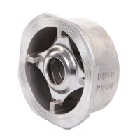Stainless Steel One Way Wafer Type Single Disc Spring Return Check Valve 