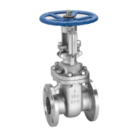 API/JIS/DIN/EN Stainless Steel Flange Ends Gate Valve