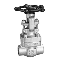 API602 800LB Rising Stem Forged Steel Gate Valve