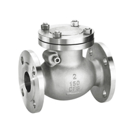 API ANSI ASME Stainless Steel Flange Swing Check Valves