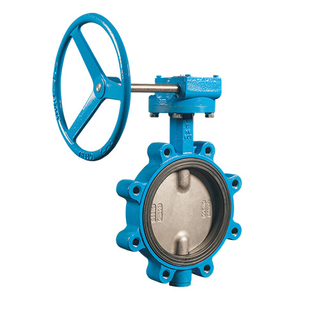 Cast Steel EPDM Lined Lug Type Butterfly Valve with Worm Gear Operated 