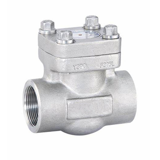 Stainless Forged Steel Swing Type/Lift Type Check Valve(150LB~2500LB)