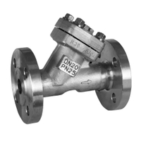 API602 Stainless Forged Steel Flange Ends Y Type Strainer(150LB~2500LB)