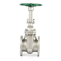 Stainless Steel CF8 CF8M ASME B16.5 Flange Ends Gate Valve