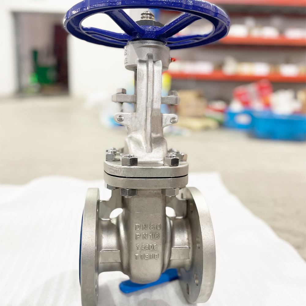 EN/DIN 1.4408 PN16 Stainless Steel Flange Gate Valve 