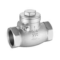 Stainless Steel Screwed Swing Type Check Valve