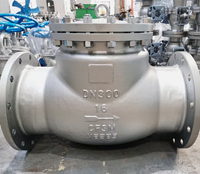 PN16 CF3M Flanged Swing Check Valve