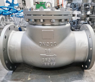 PN16 CF3M Flanged Swing Check Valve