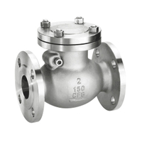 API/JIS/DIN/EN Stainless Steel Flange Check Valve