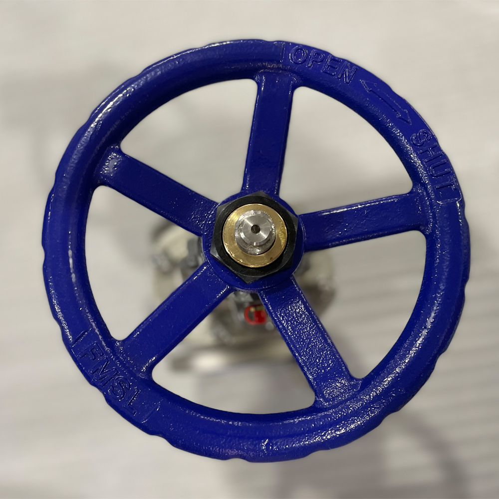 EN/DIN 1.4408 PN16 Stainless Steel Flange Gate Valve 