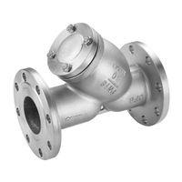 API/JIS/DIN Flange Ends Stainless Steel Y Type Strainer