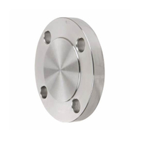 API/ASME/JIS/EN/GOST Stainless Steel Blind Flanges