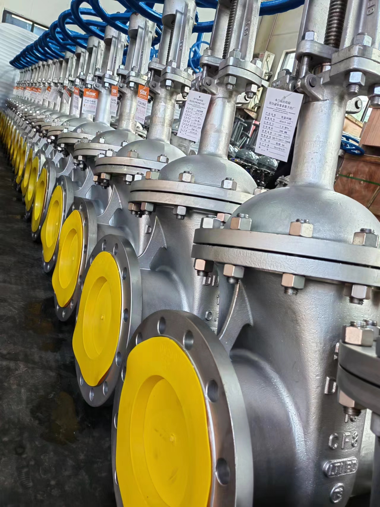 stainless steel flange gate valves rising stem