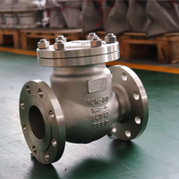 JIS10K Stainless Steel Flanged Swing Check Valve
