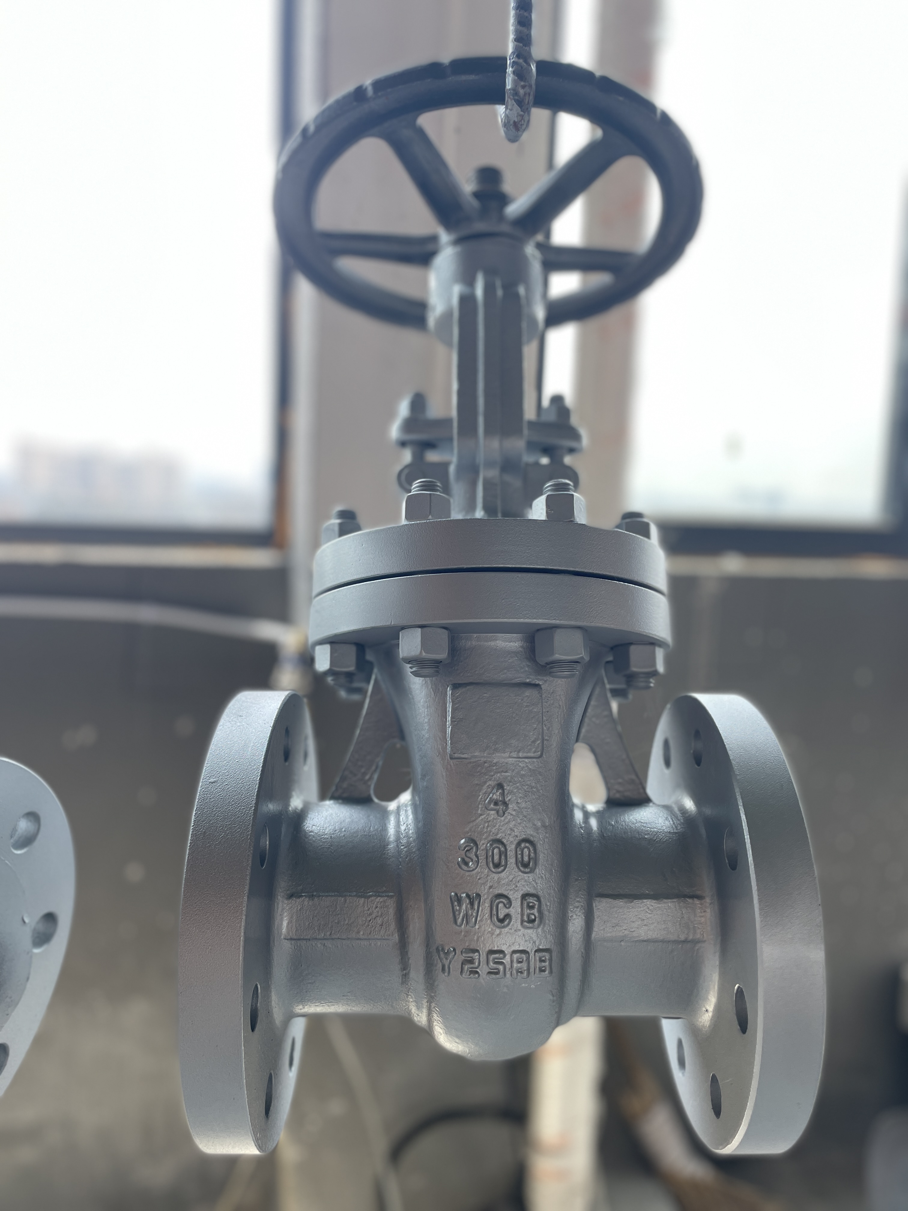 API600 Carbon Steel Flange Ends Gate Valve